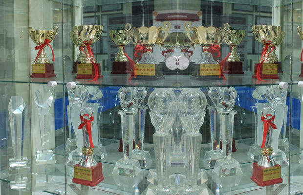 達(dá)內(nèi)教育獎(jiǎng)狀杯