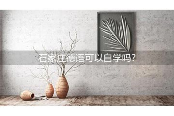 廣州德語可以自學(xué)嗎？