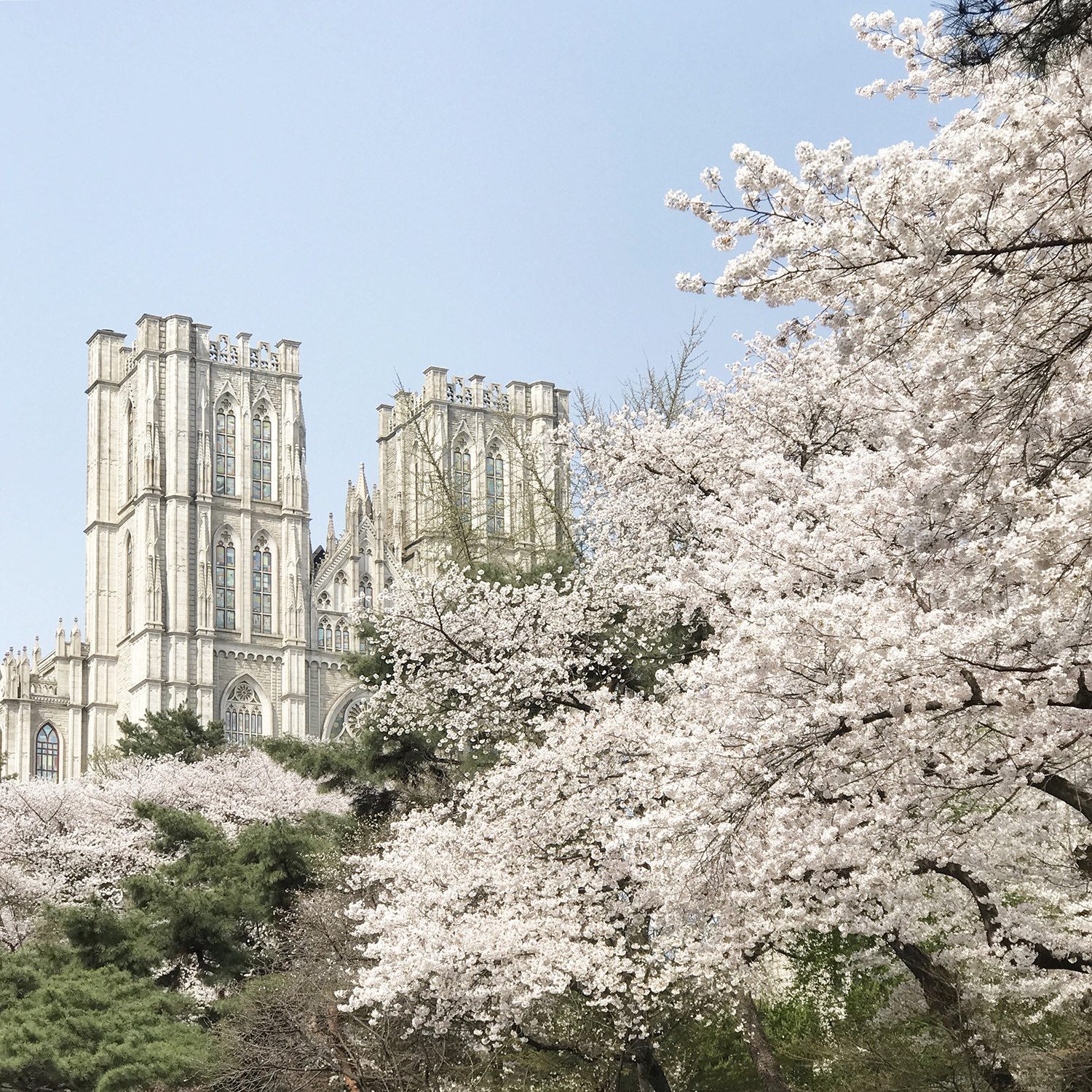 韓國留學(xué)不容錯過的專升本！