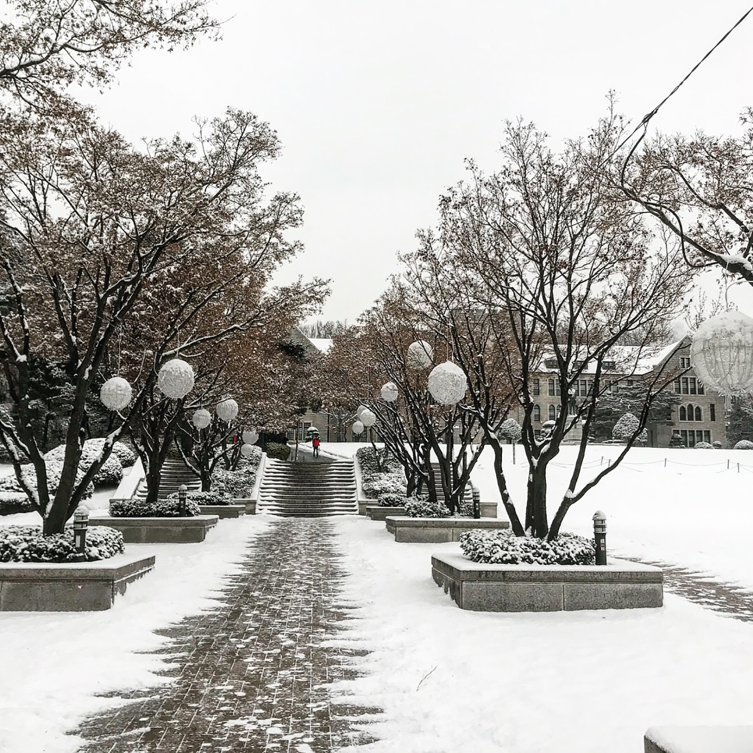 關(guān)于韓國留學(xué)的這些事出國前一定要了解！