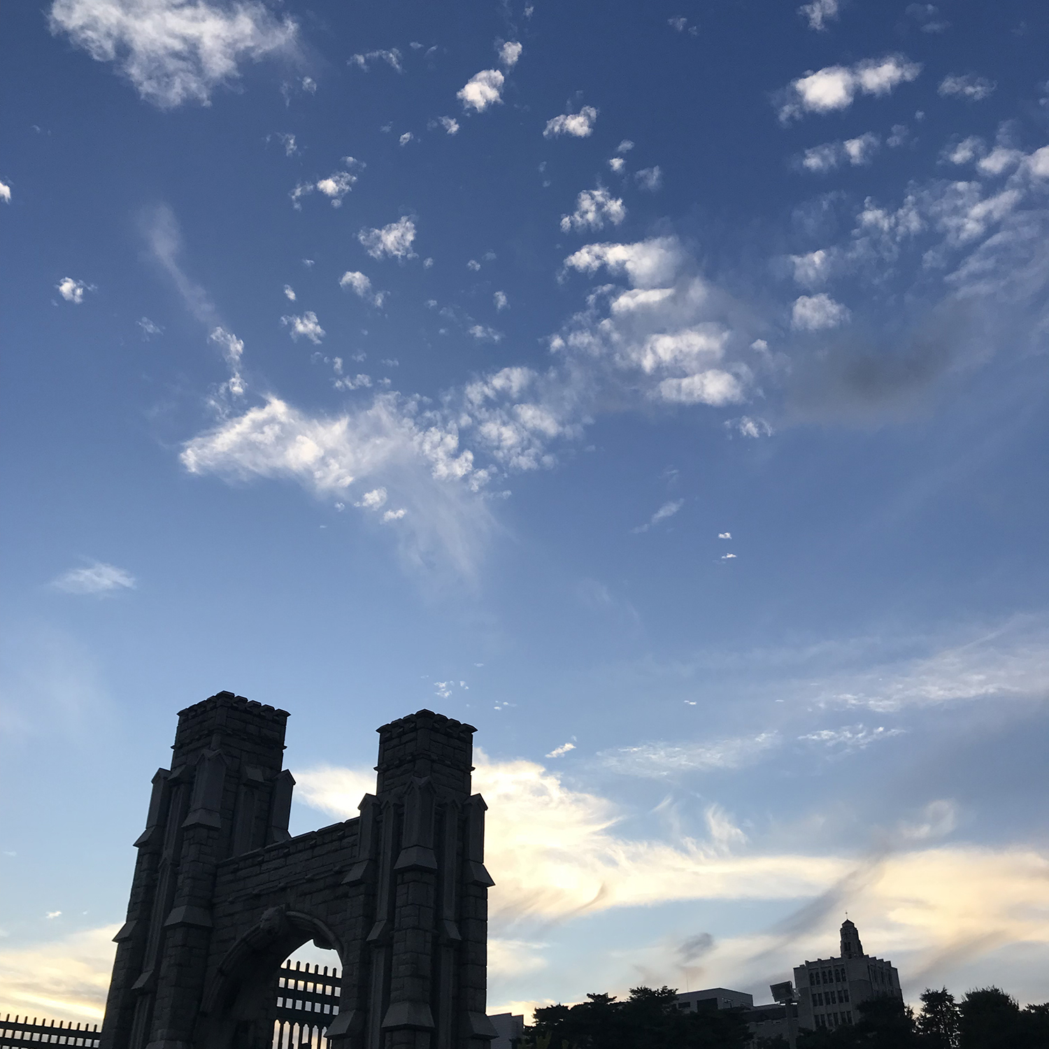 韓國留學(xué)選擇哪些專業(yè)比較好，更利于回國發(fā)展？