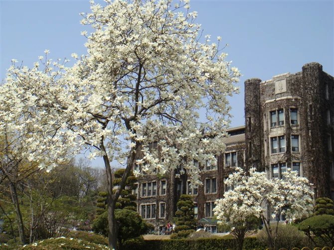 以三所大學(xué)為例，來(lái)了解一下韓國(guó)大學(xué)的心理學(xué)專業(yè)！