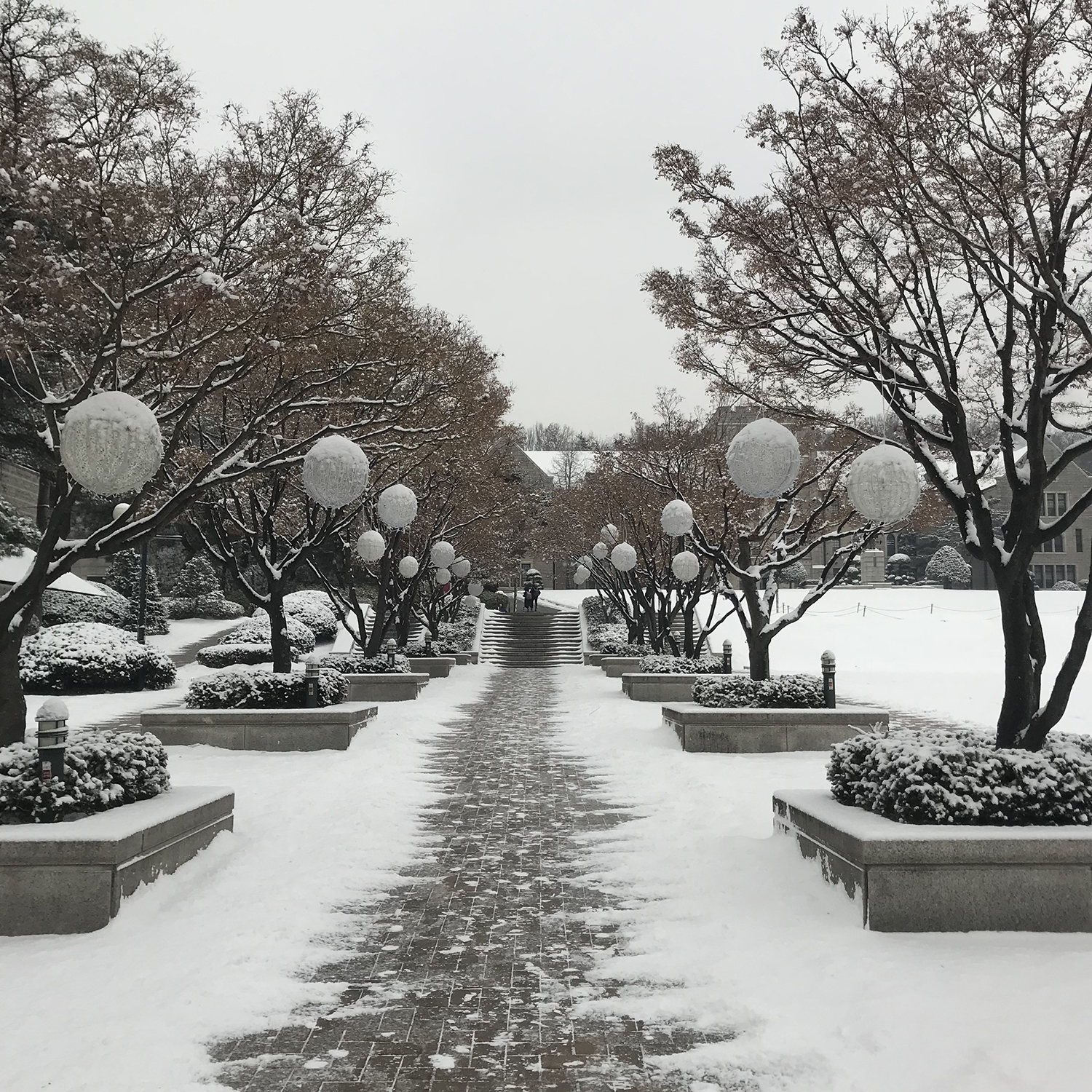 【留學(xué)干貨】韓國(guó)大學(xué)3月和9月入學(xué)有什么不同？