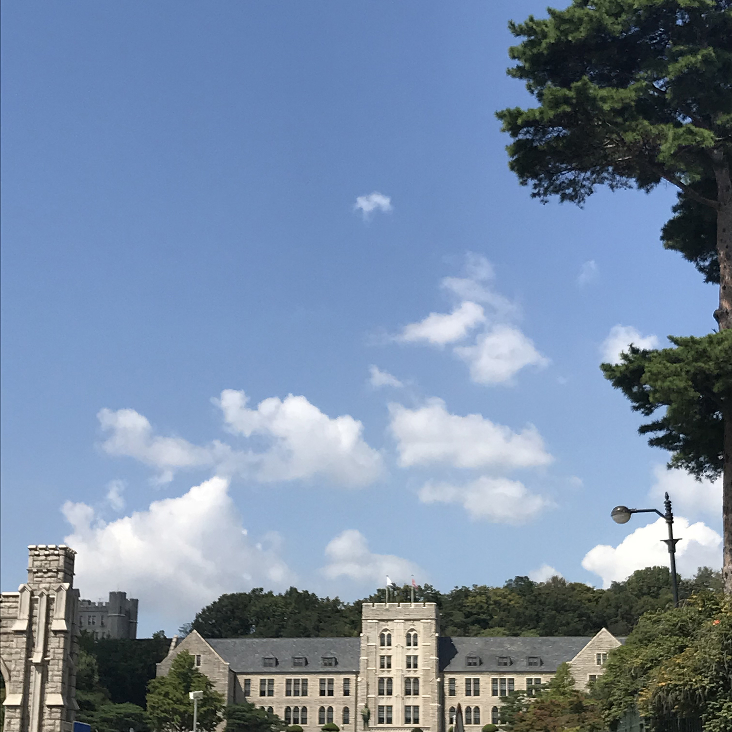 被韓國(guó)大學(xué)錄取后需要做什么？