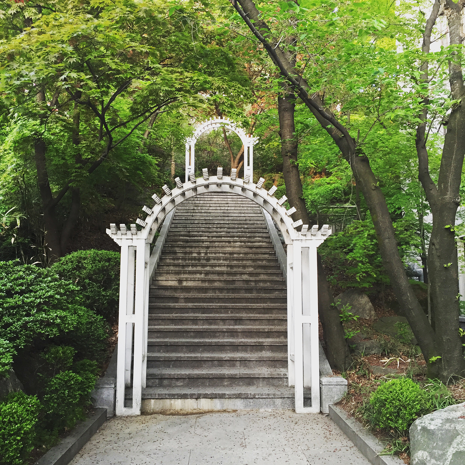 從“非主流”到“主流”，韓國留學(xué)為什么這么火？