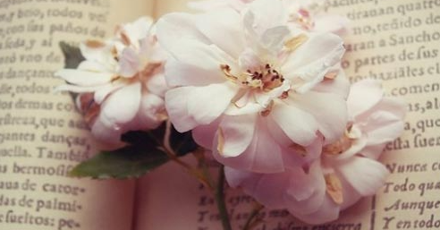 石家莊學(xué)n2日語考試怎么提升