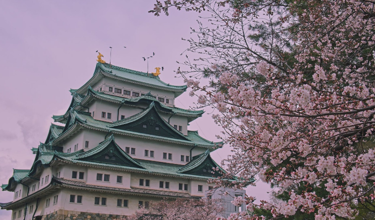 日語(yǔ)考試10大語(yǔ)法總結(jié)