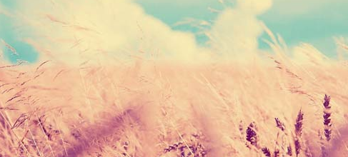 石家莊學(xué)日語(yǔ)自學(xué)好還是報(bào)班