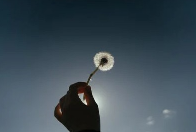 自學韓語究竟能不能成功？