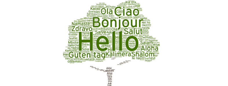 法語(yǔ)考試報(bào)名流程是什么？