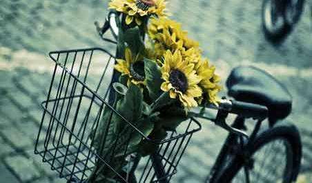 學習好法語有沒有用？