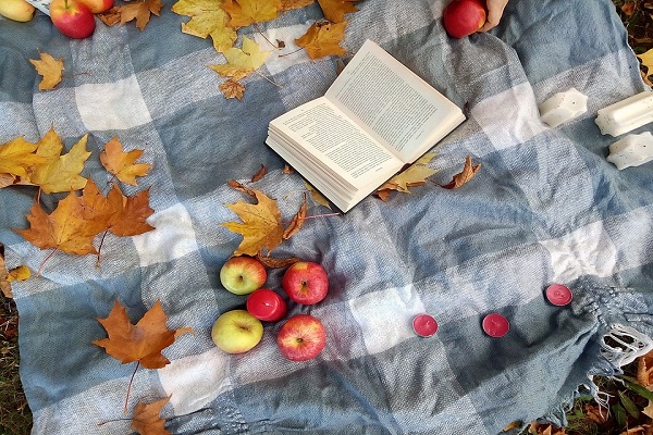 大阪藝術大學培訓費（大阪藝術大學需要多少錢？）