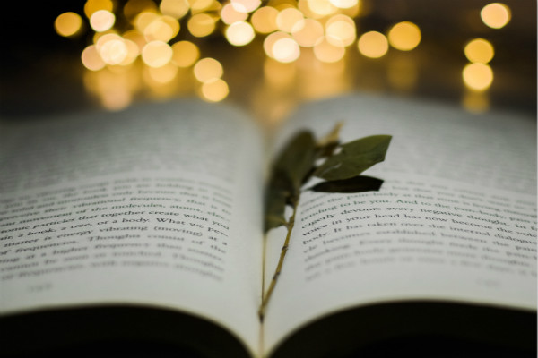 筑波大學設計類專業(yè)（筑波大學設計類專業(yè)有什么？）