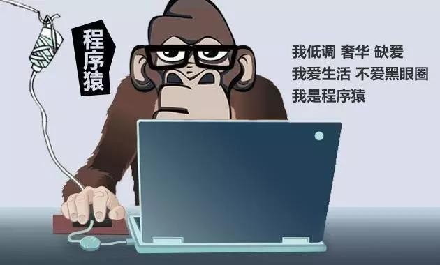 《達(dá)內(nèi)教育》程序員，你被內(nèi)卷了嗎？