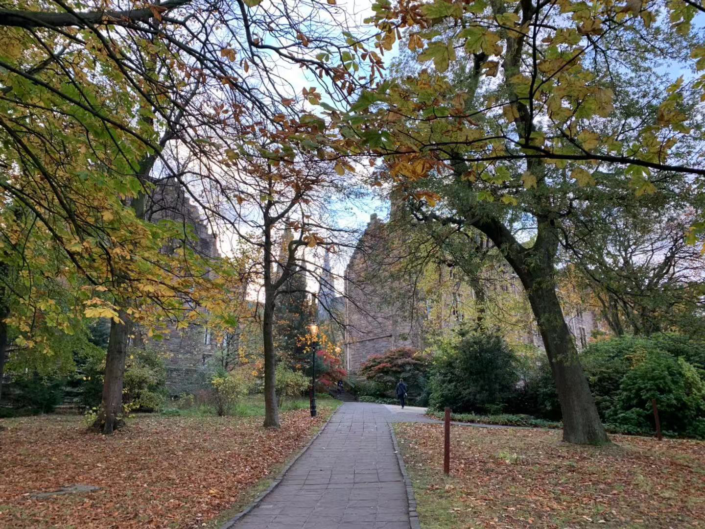 留學(xué)選專業(yè)太糾結(jié)？先看看德國都有哪些優(yōu)勢(shì)專業(yè)！