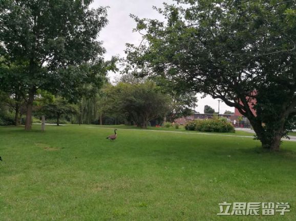 留德不能按時(shí)畢業(yè)怎么辦？！有什么后果？！