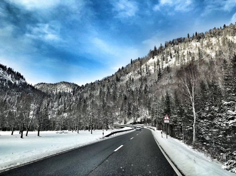 最新丨留學(xué)簽證受理最新信息&最新德國(guó)入境信息