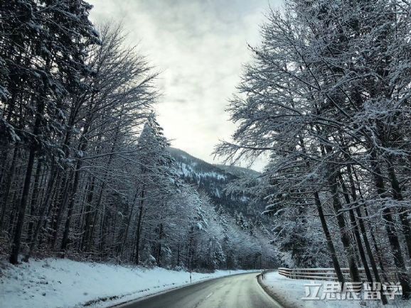 為什么德國人忌諱“13”原因竟然是？