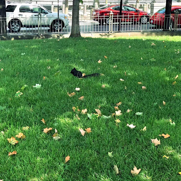 留學(xué)選學(xué)校，這是個技術(shù)活兒！國外大學(xué)到底該這么挑？