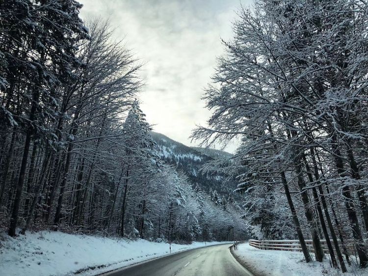 一篇文章為你解讀德國(guó)大學(xué)BWL 企業(yè)經(jīng)濟(jì)學(xué)