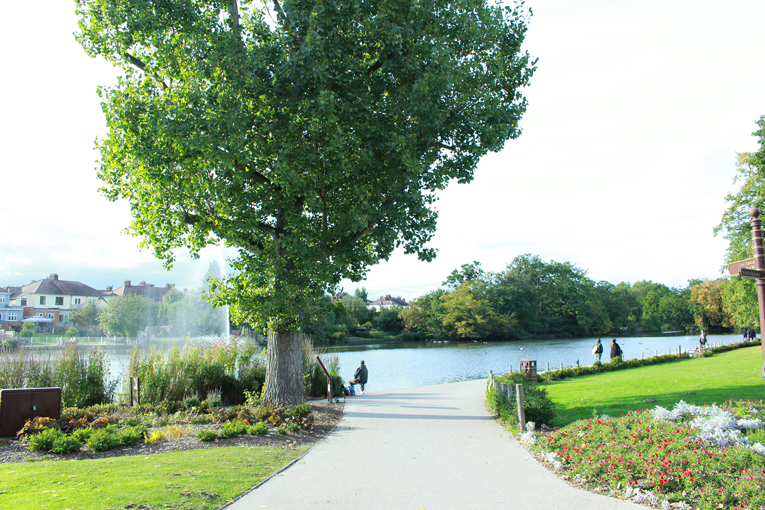 德國(guó)大學(xué)專業(yè)概況丨BWL 企業(yè)經(jīng)濟(jì)學(xué)