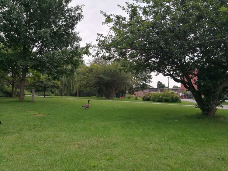 看看你是否適合去德國(guó)留學(xué)？