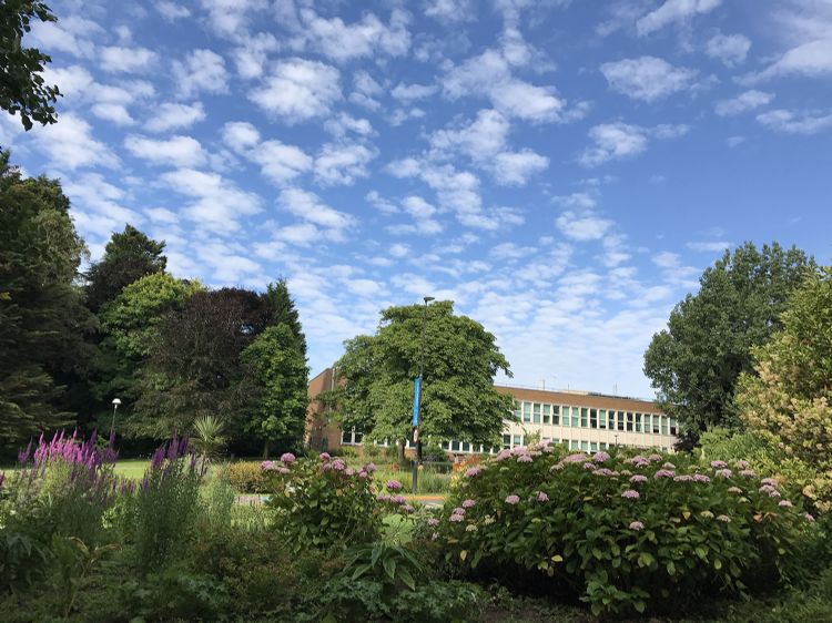 歐洲留學，性價比高到離譜的德國！