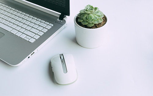 日本學法律大阪經(jīng)濟法科大學排名