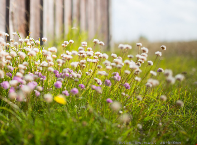 美國umt大學(xué)是私立學(xué)校嗎？