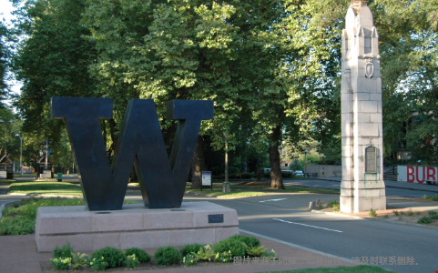 華盛頓大學(xué)和圣路易斯華盛頓大學(xué)哪個(gè)排名好？