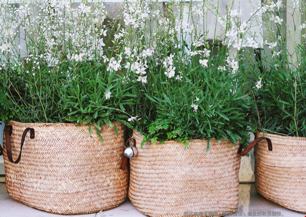 美國巴爾的摩有哪些大學(xué)