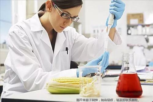 斯坦福大學(xué)化學(xué)系研究領(lǐng)域有哪些？