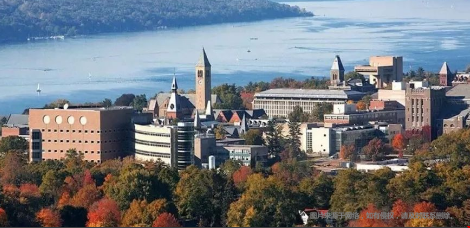 美國(guó)康奈爾大學(xué)優(yōu)勢(shì)專業(yè)有哪些？