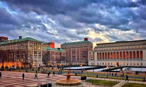 紐約大學(xué)研究生專業(yè)有哪些？