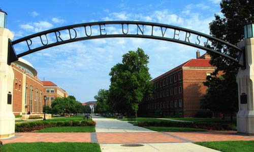 出國留學學純藝術專業(yè)怎么樣？