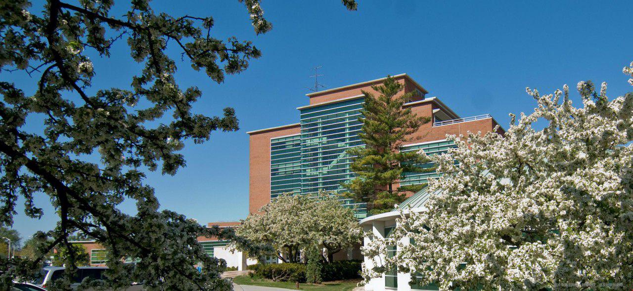 喬治城大學(xué)研究生專業(yè)有哪些？