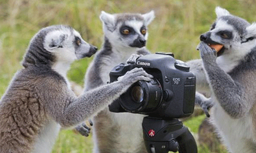 留學(xué)攝影專業(yè)哪些院校好？