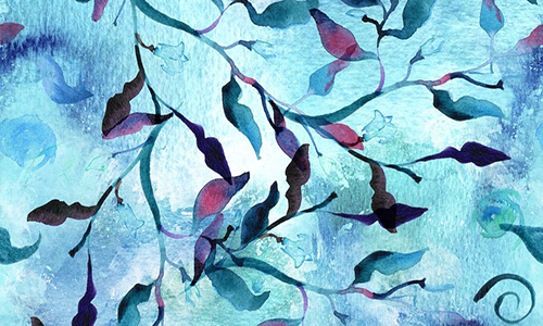 加拿大美術(shù)專業(yè)留學(xué)院校有哪些