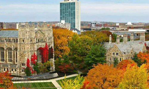 密歇根州立大學(xué)研究生申請條件是什么？