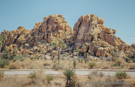 美國南加州大學(xué)博士申請條件一覽