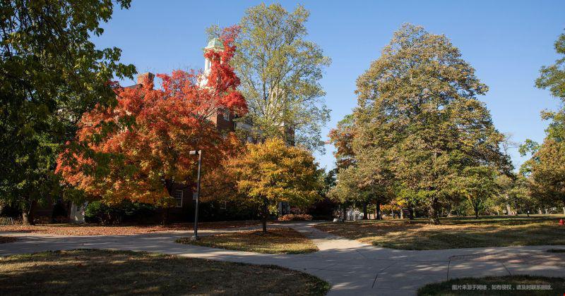 斯坦福大學(xué)博士申請條件有哪些？