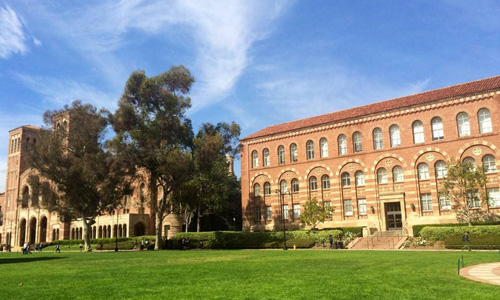 加州大學(xué)洛杉磯分校本科專業(yè)有哪些？