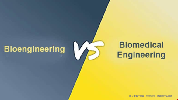 美國生物工程和生物醫(yī)學(xué)工程專業(yè)有何差異？