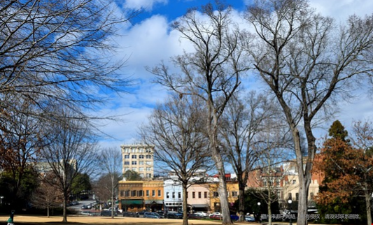 芝加哥大學(xué)研究生項(xiàng)目有哪些？