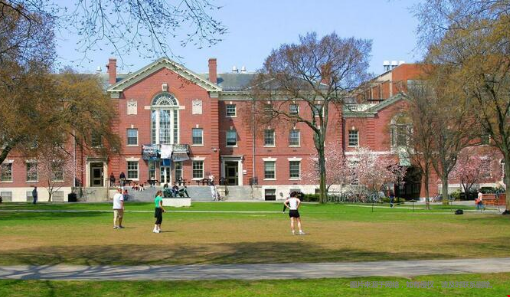 美國(guó)布朗大學(xué)有哪些優(yōu)勢(shì)專業(yè)可以申請(qǐng)？