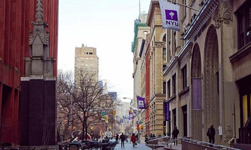 紐約大學(xué)本科專業(yè)有哪些？