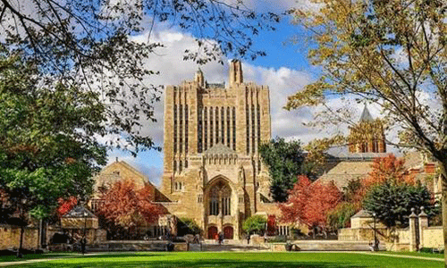 美國純藝術專業(yè)院校有哪些？