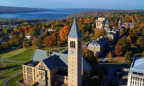 康奈爾大學(xué)研究生專業(yè)有哪些？