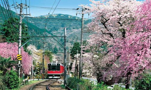 日本動漫專業(yè)留學(xué)課程有哪些？