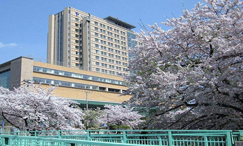 藝術(shù)留學(xué)作品集，最強(qiáng)勢(shì)攻略來嘍。